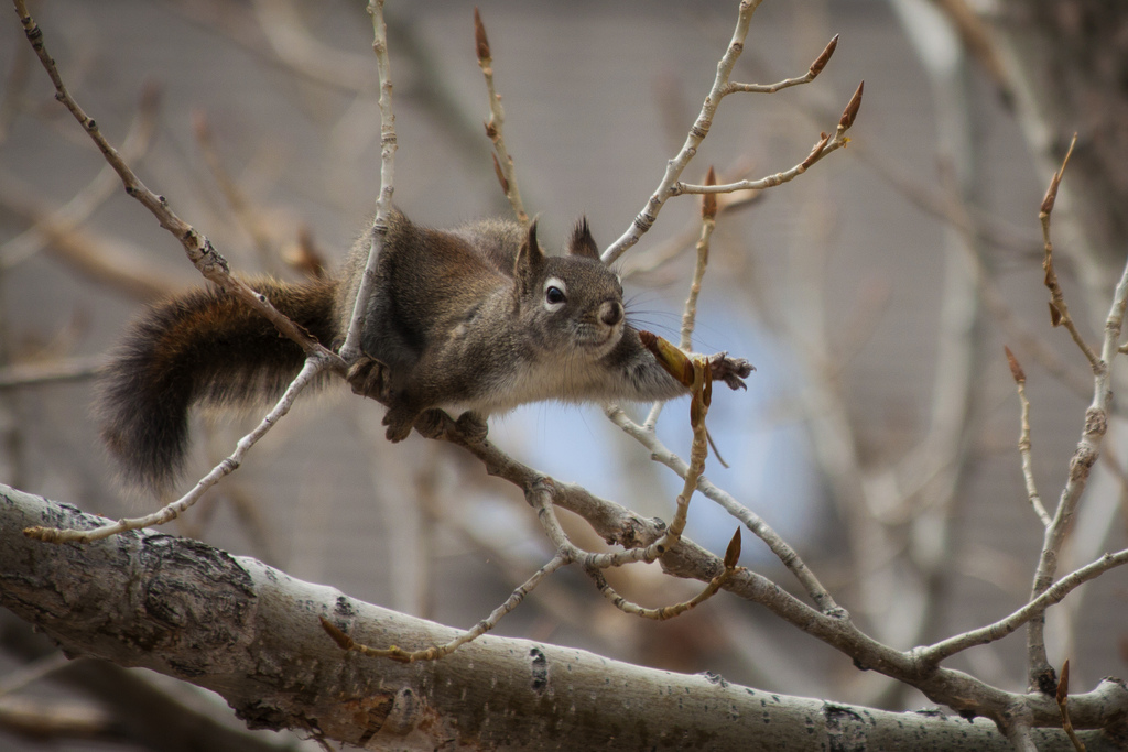 8661850842_eb366cdeb7_b