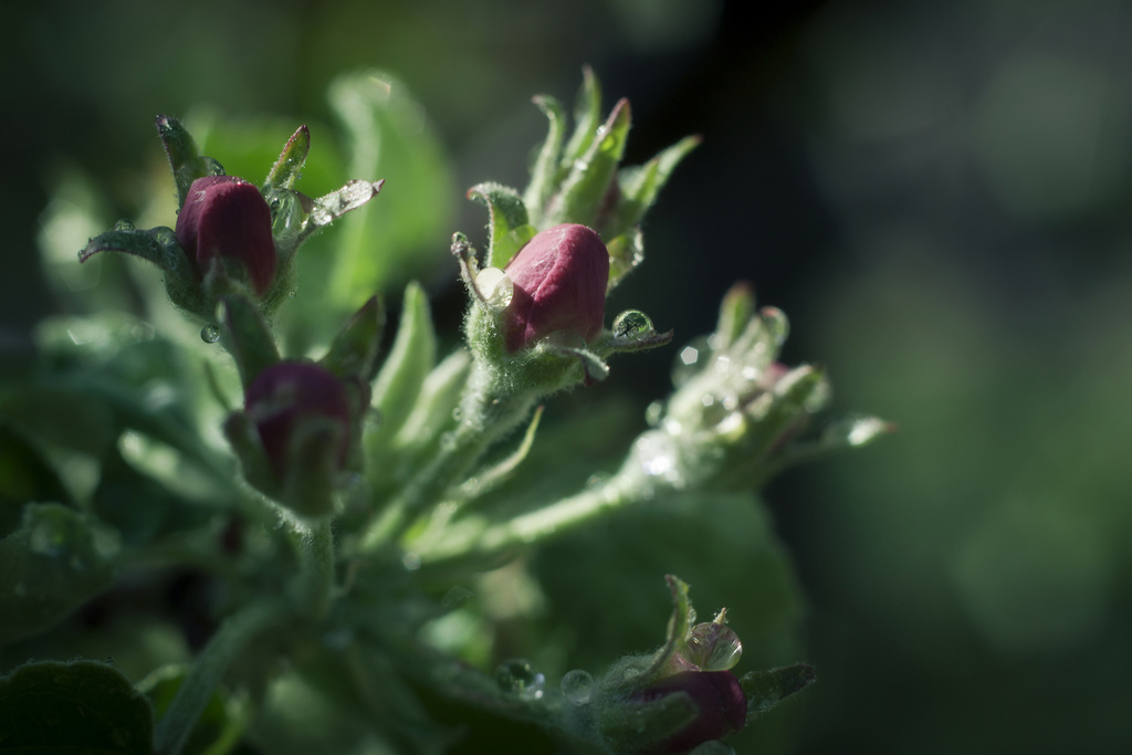 8726690113_60cdce450f_b