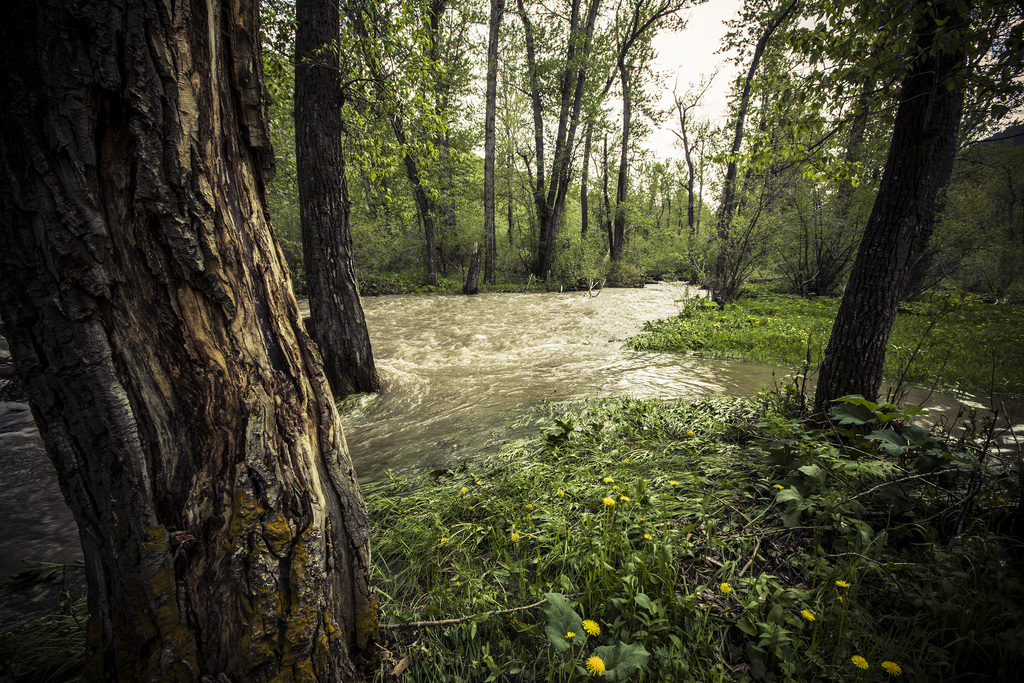 8919884840_05c2e3c6ef_b